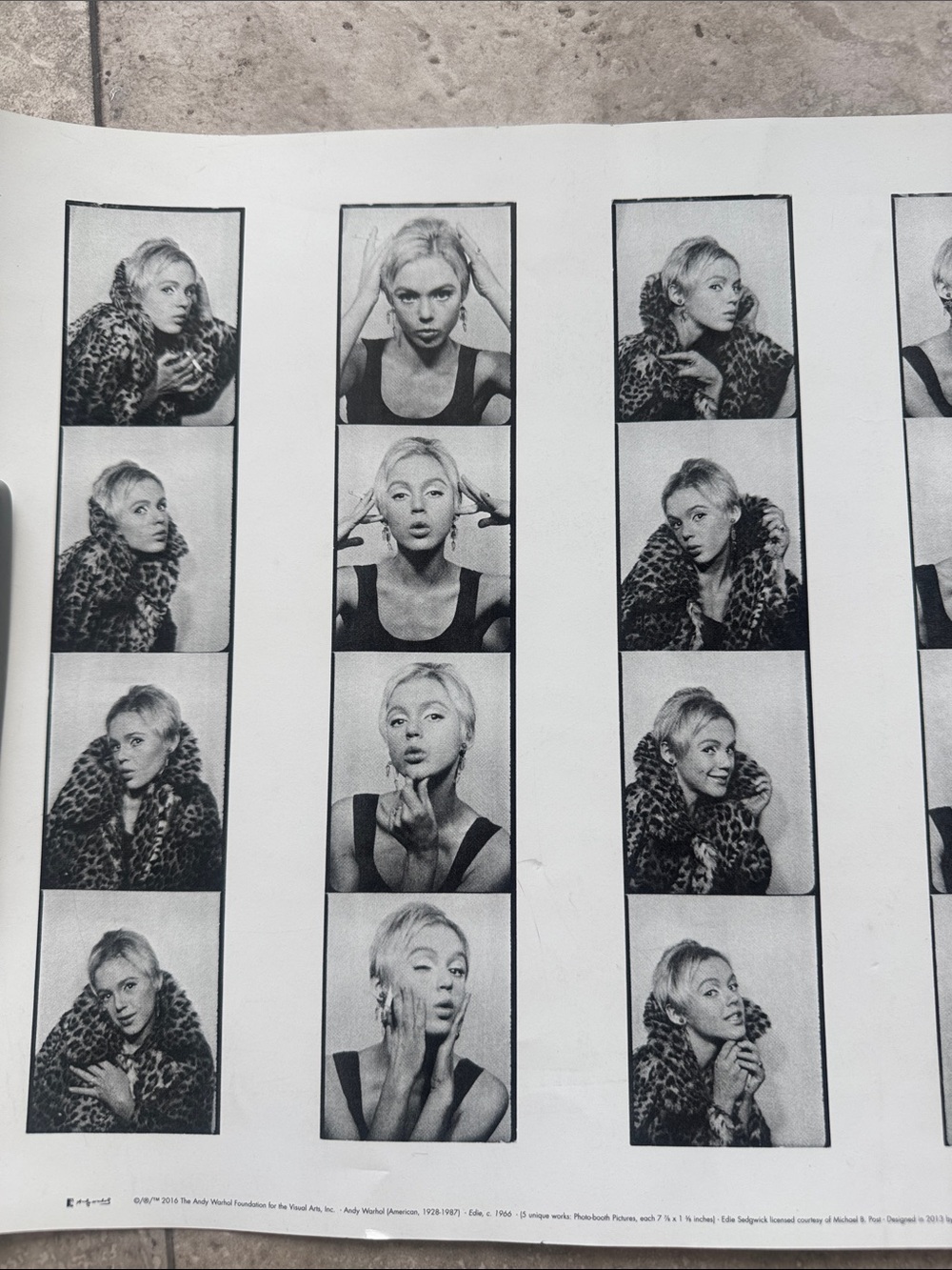 Edie Sedgwick Andy Warhol’s muse portrait gallery.